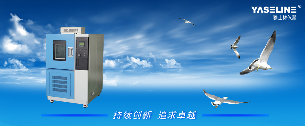 YSL��غ��ԇ�(y��n)��